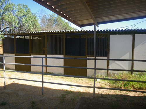 4-Stall Barn